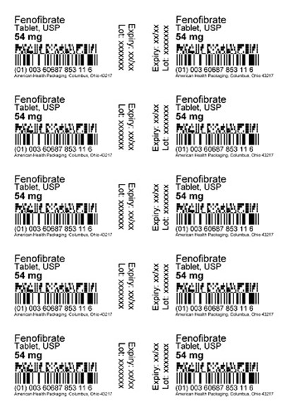 54 mg Fenofibrate Tablet Blister.jpg (54 mg Fenofibrate Tablet Blister)